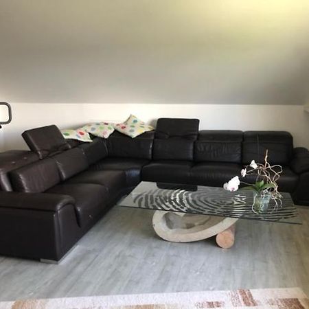 Ferienwohnung-Ameisenhardt Шляйден Экстерьер фото